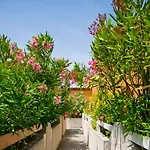 Holidayland Baie Des Oliviers 36m2 1chambre Fermee 6 Couchages Ou 41m2 2chambres Fermees 7 Couchages Üdülőpark *