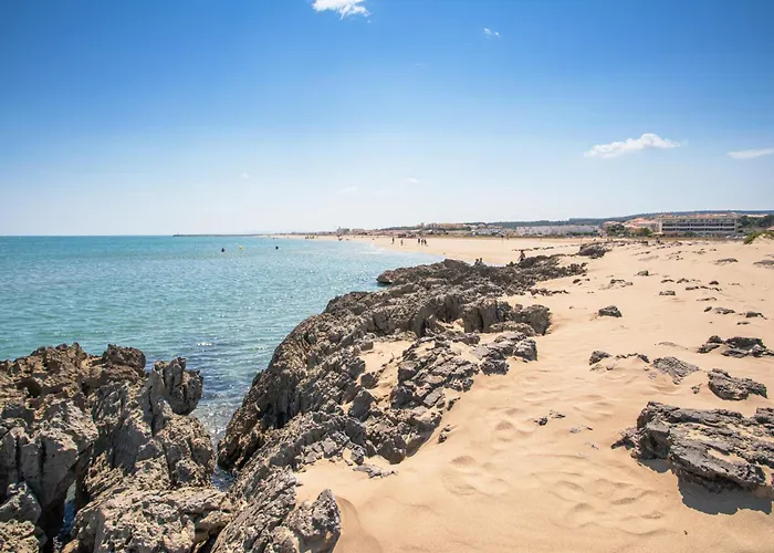 Holidayland Baie Des Oliviers 36m2 1chambre Fermee 6 Couchages Ou 41m2 2chambres Fermees 7 Couchages *