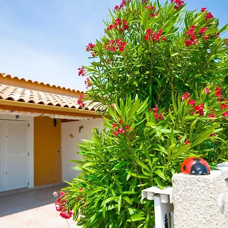 Πάρκο διακοπών Holidayland Baie Des Oliviers 36m2 1chambre Fermee 6 Couchages Ou 41m2 2chambres Fermees 7 Couchages *